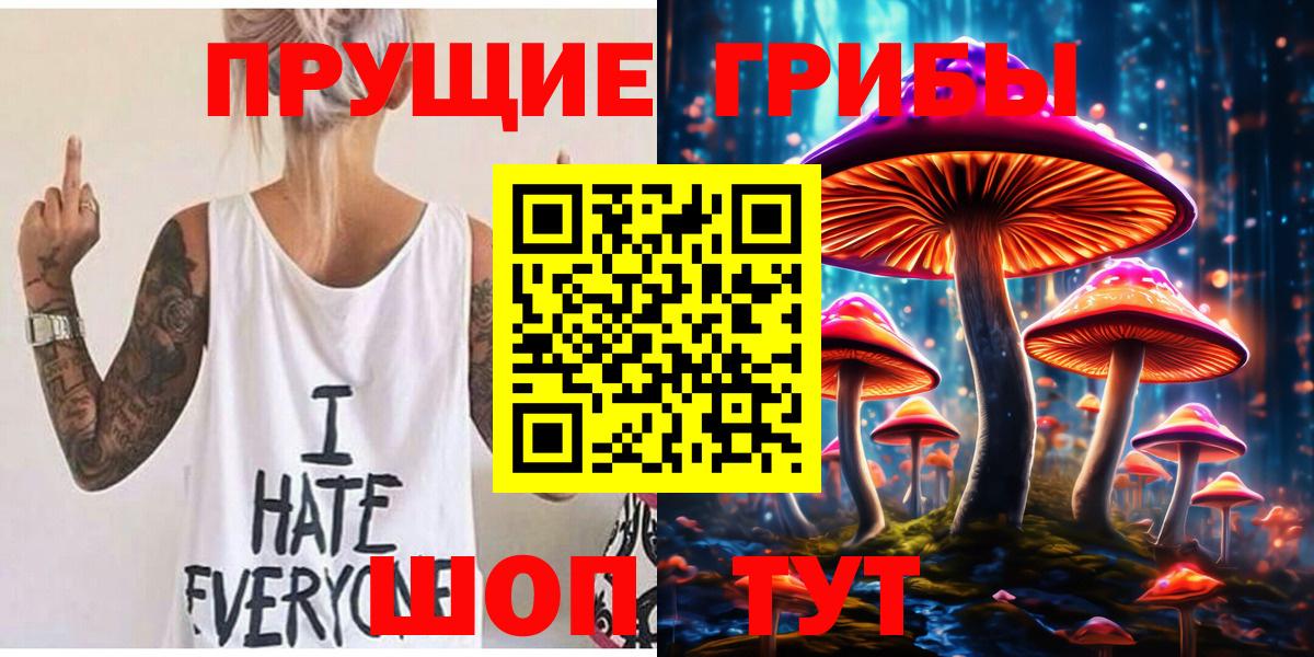 Вологда  Псилоцибиновые грибы Psilocybine cubensis  Вход с VPN 